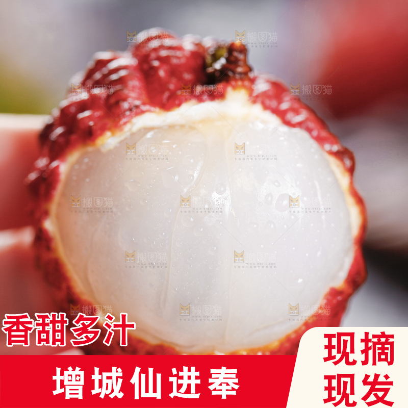 浅底上的仙进奉荔枝