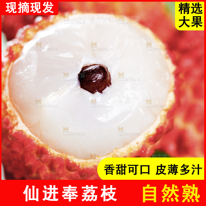 深底上的仙进奉荔枝