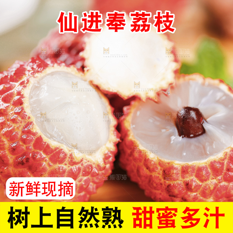 浅底上的仙进奉荔枝