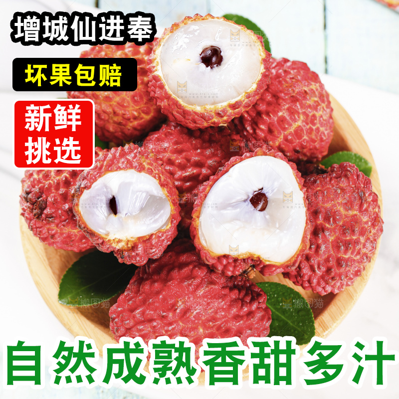 浅底上的仙进奉荔枝