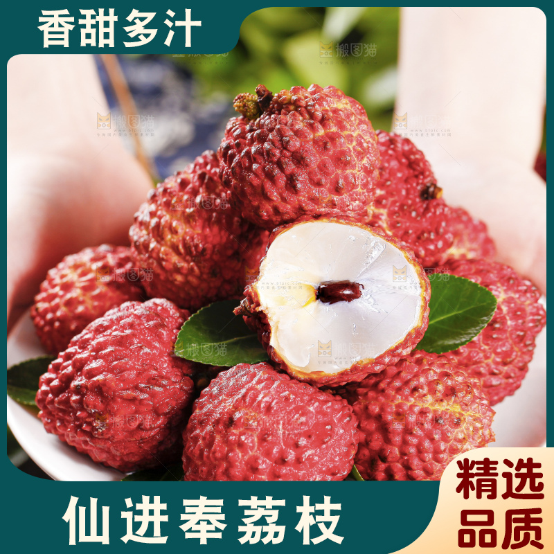 深底上的仙进奉荔枝