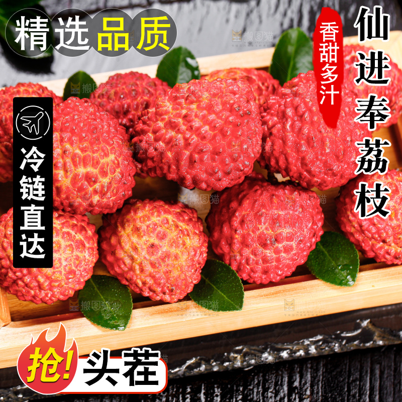 浅底上的仙进奉荔枝