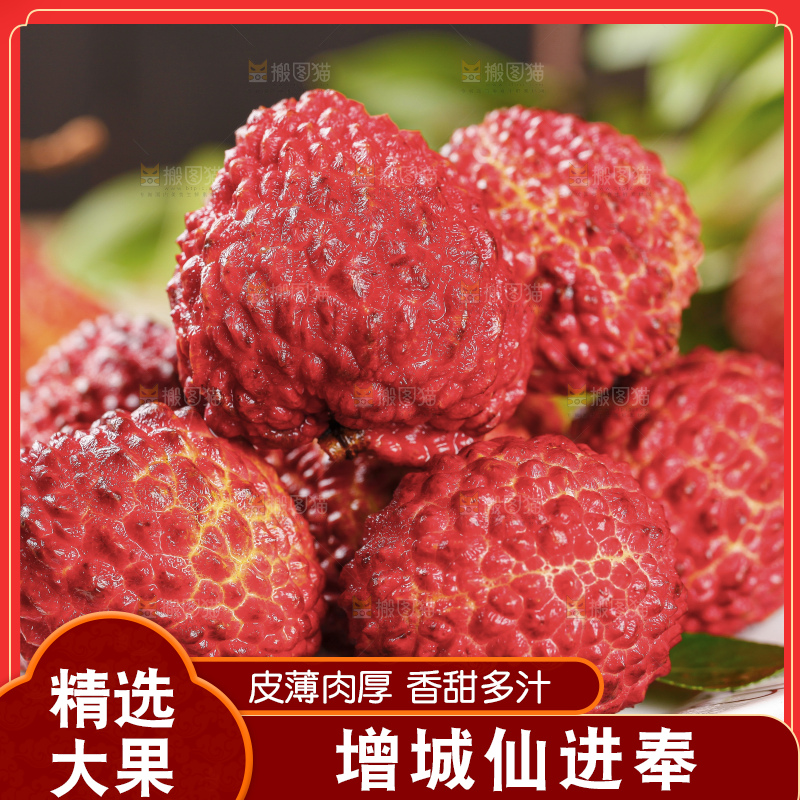 浅底上的仙进奉荔枝