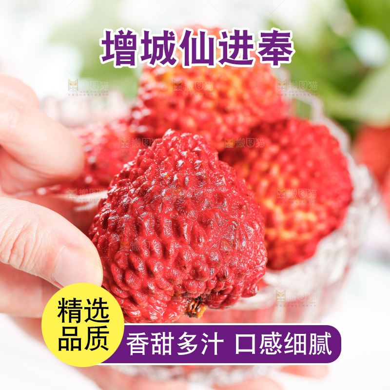 浅底上的仙进奉荔枝