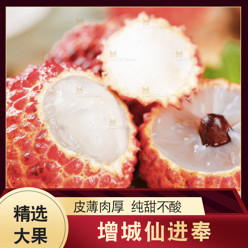 浅底上的仙进奉荔枝