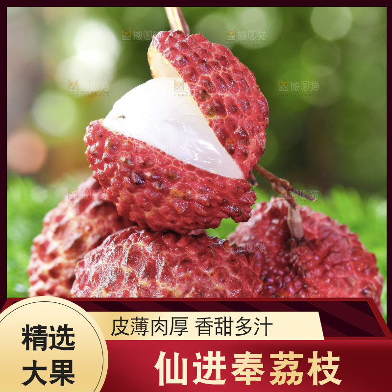 浅底上的仙进奉荔枝