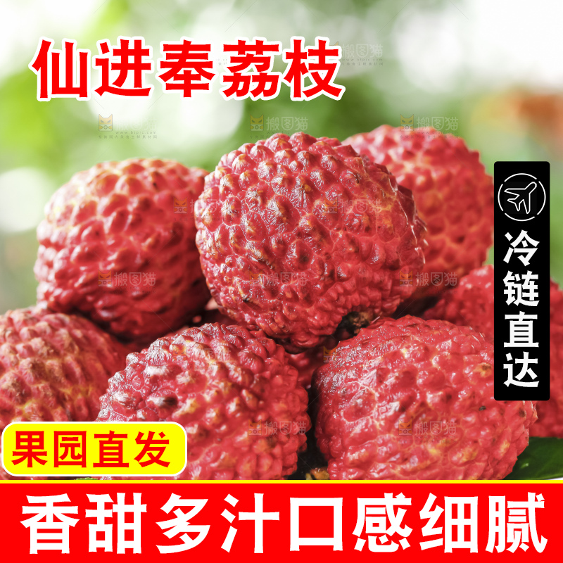 浅底上的仙进奉荔枝
