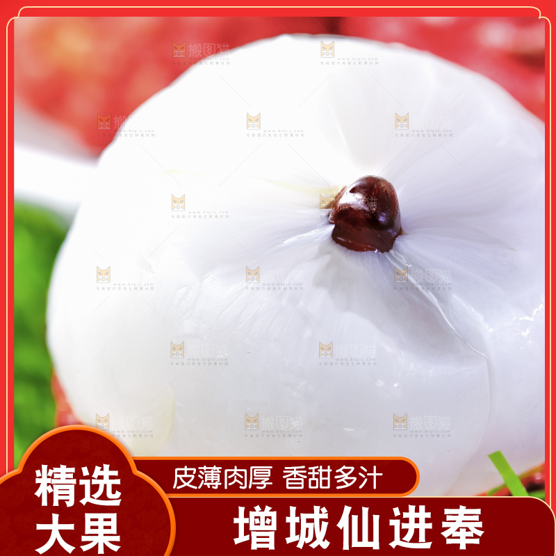 浅底上的仙进奉荔枝