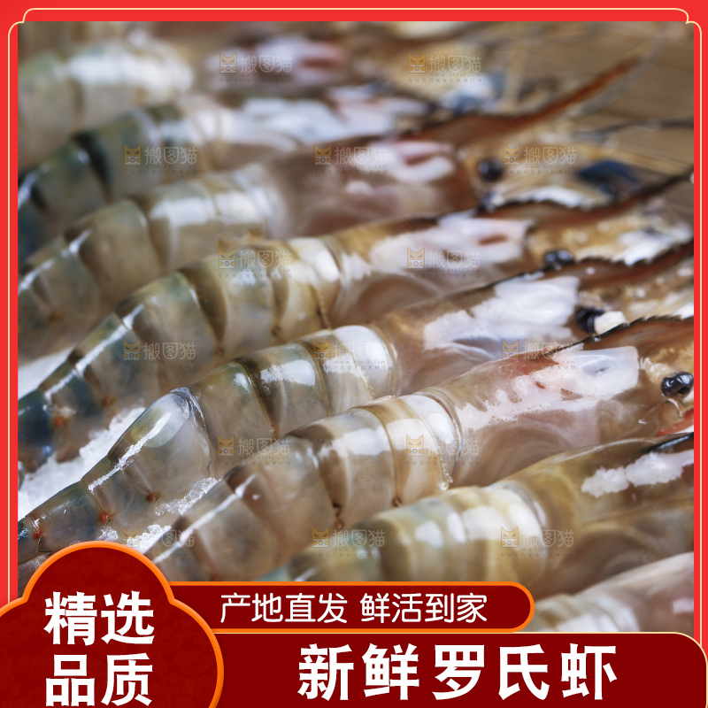 深底上的罗氏虾