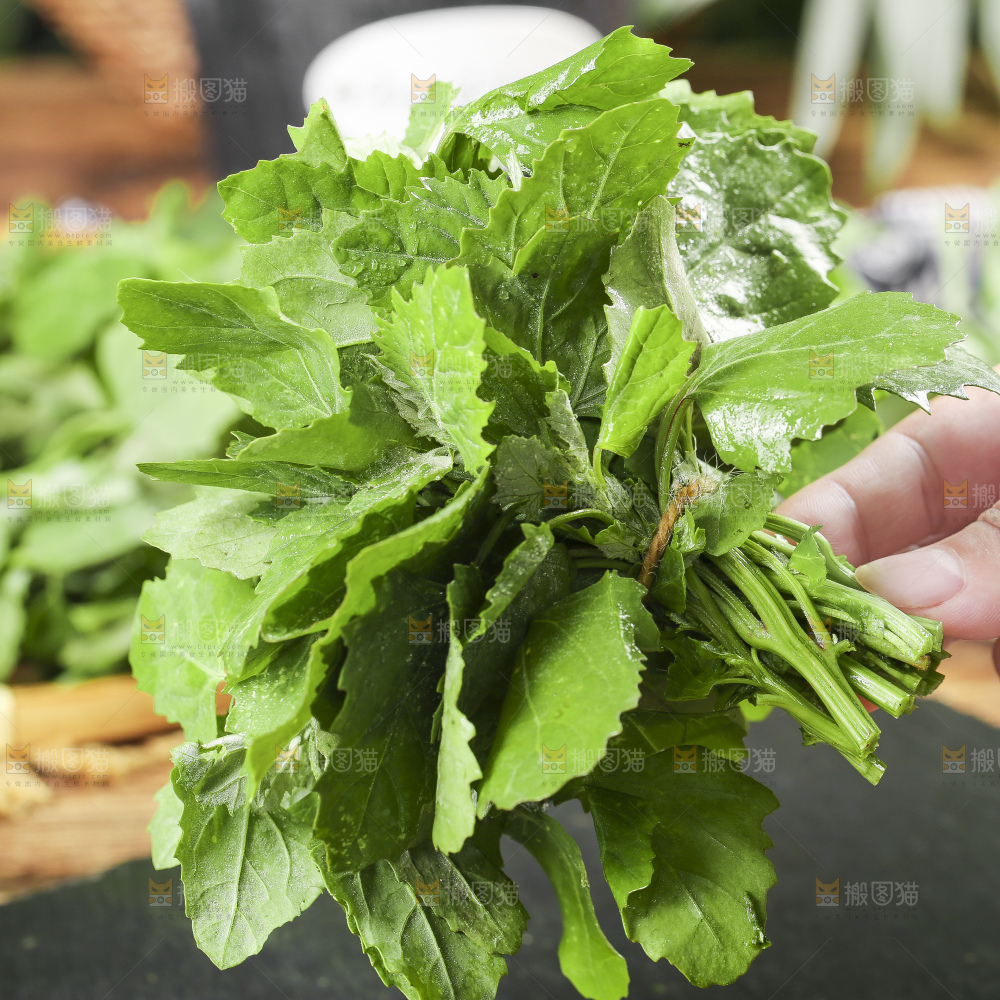 深底上的灰灰菜