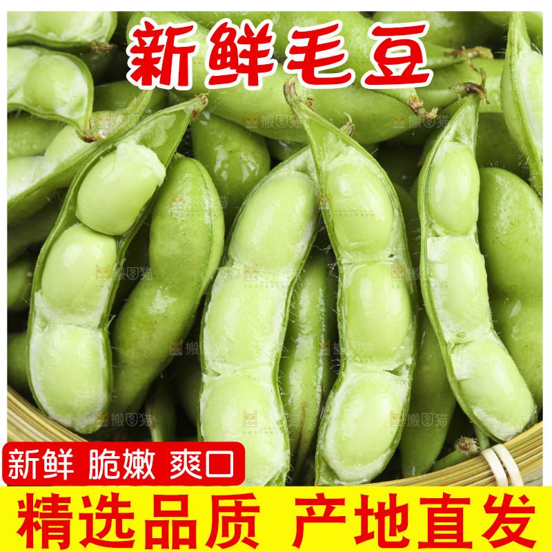 深底上的新鲜毛豆