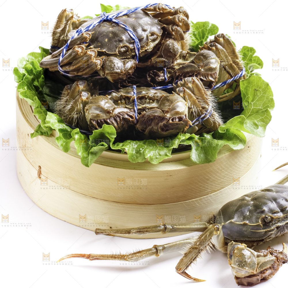 阳澄湖大闸蟹