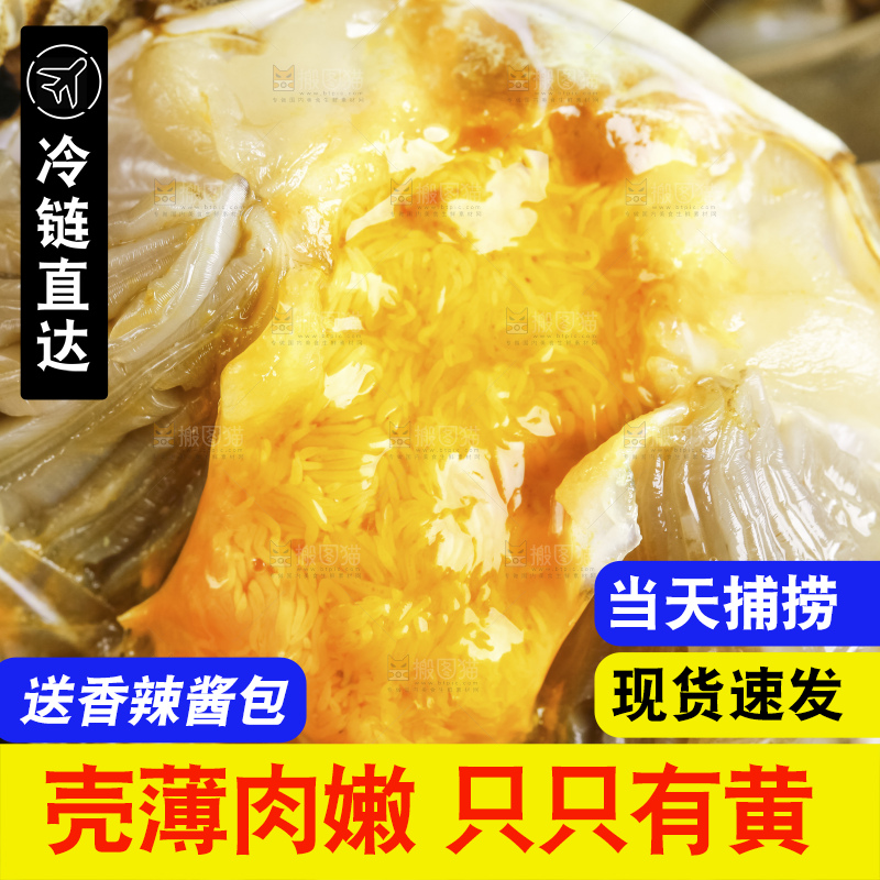 阳澄湖大闸蟹