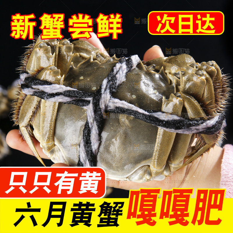 摆放整齐的大闸蟹