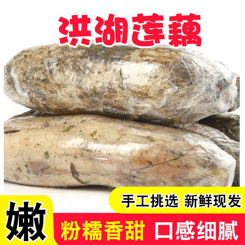 白底上的洪湖粉藕