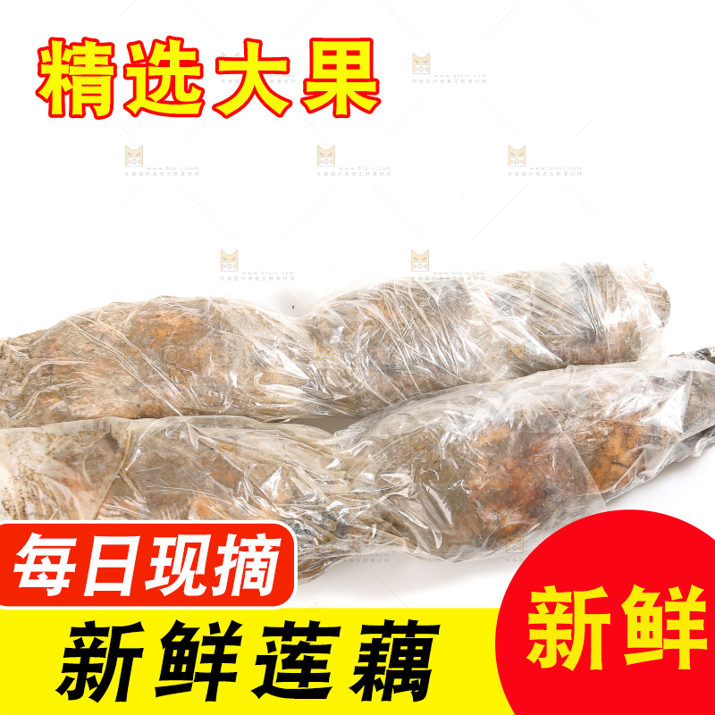 白底上的洪湖粉藕