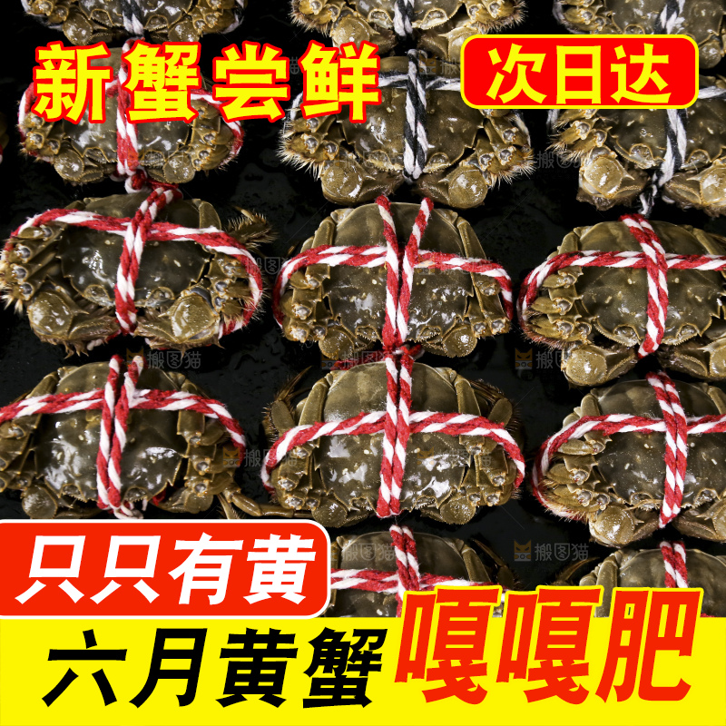 摆放整齐的大闸蟹