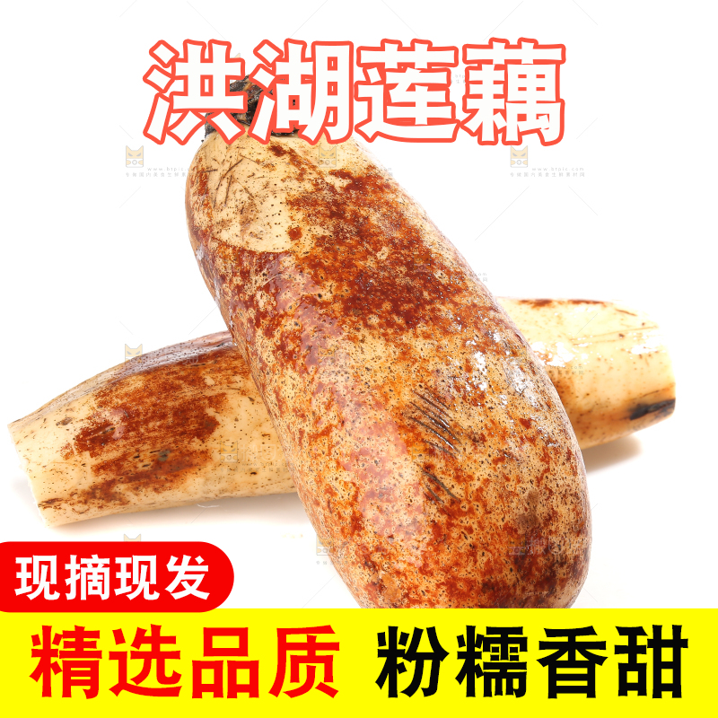 白底上的洪湖粉藕
