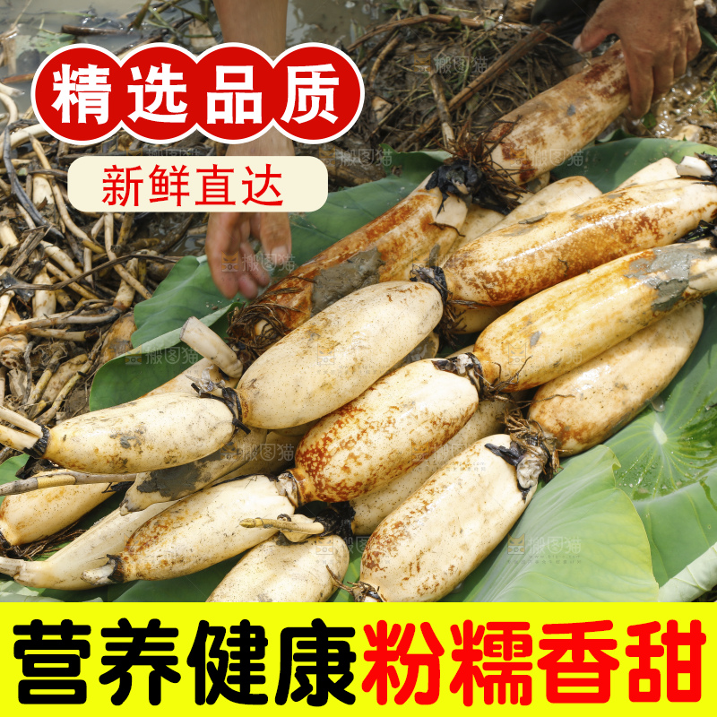 地上放着现挖莲藕