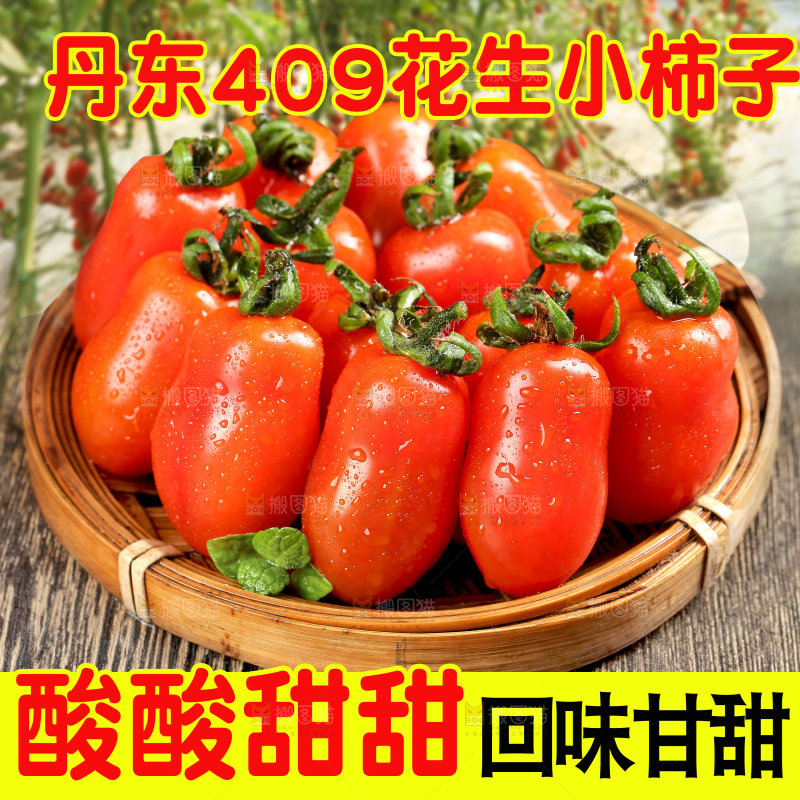 花生小柿子主图