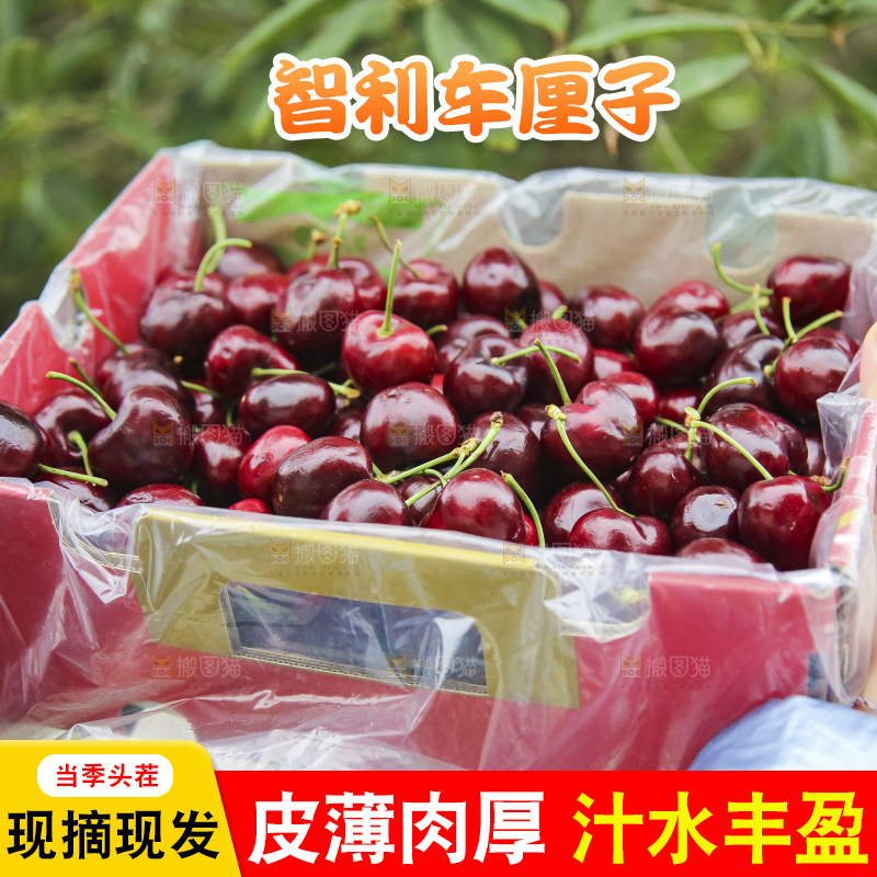 手里拿着车厘子