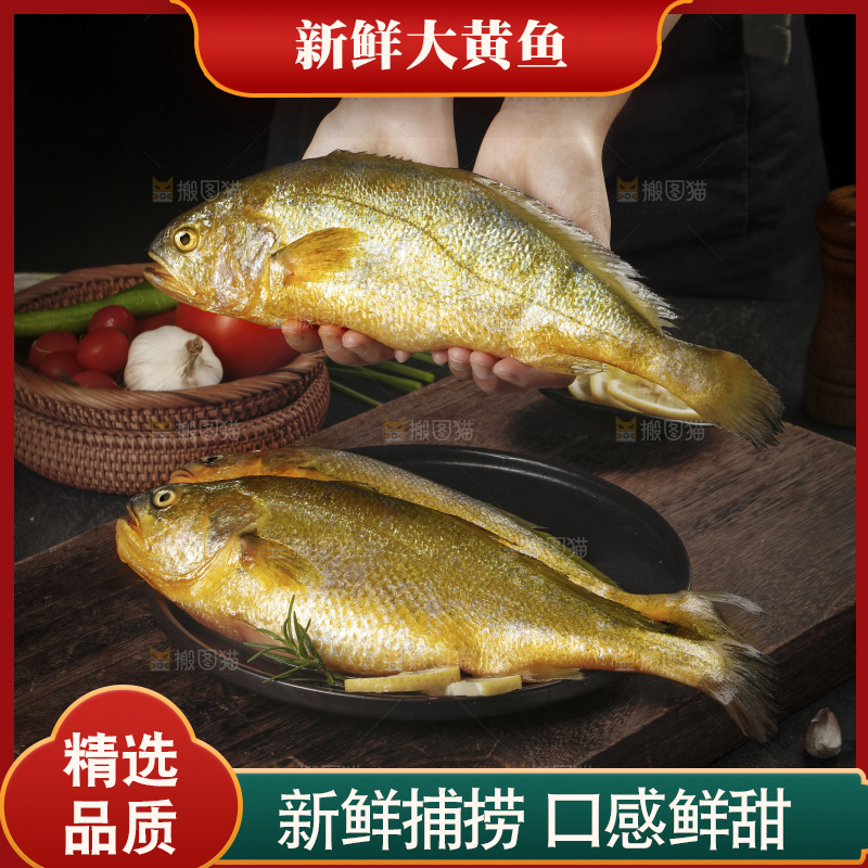 深底上的黄鱼
