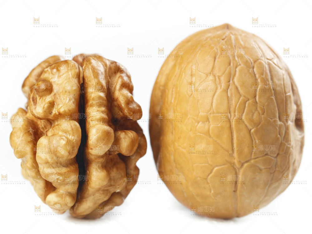 白底上的核桃仁