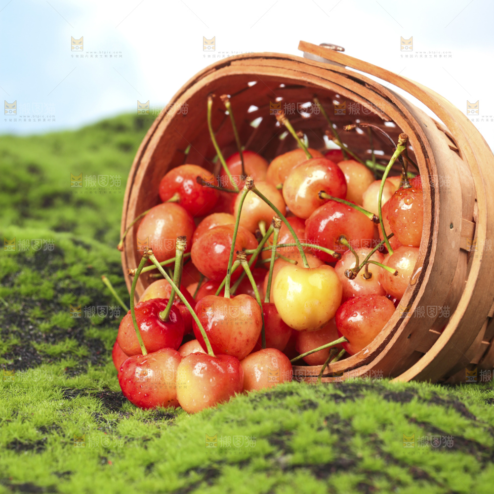 草地上放着黄蜜樱桃