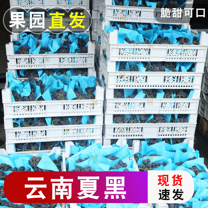 箱子里的夏黑葡萄
