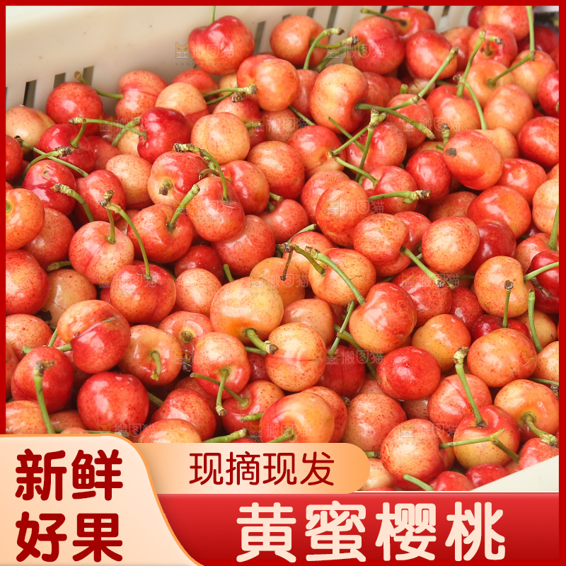箱子里装着黄蜜樱桃