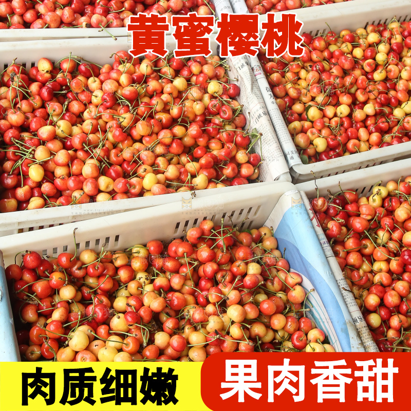 箱子里装着黄蜜樱桃