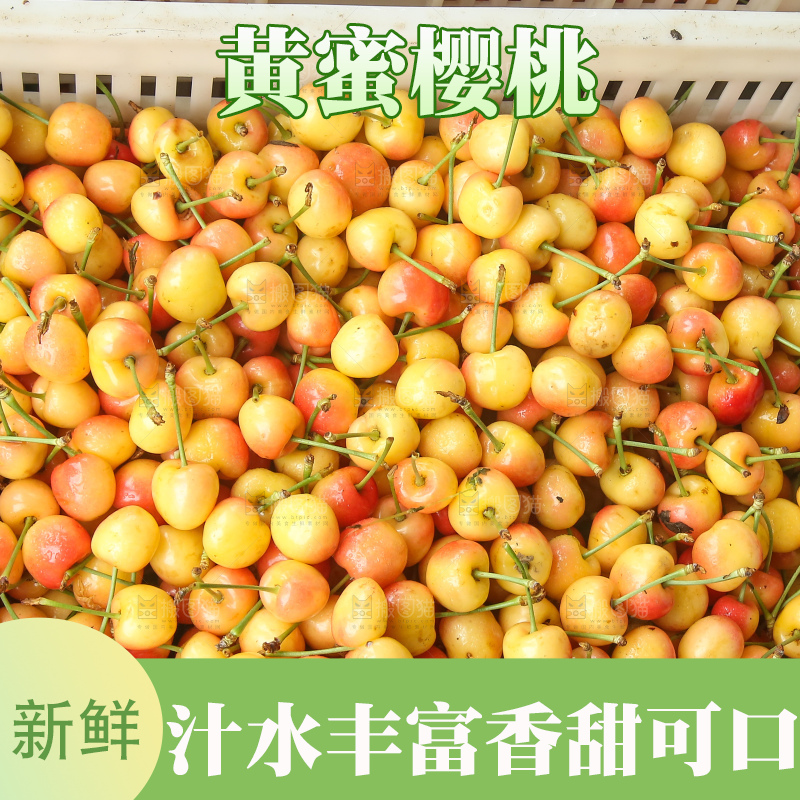 箱子里装着黄蜜樱桃