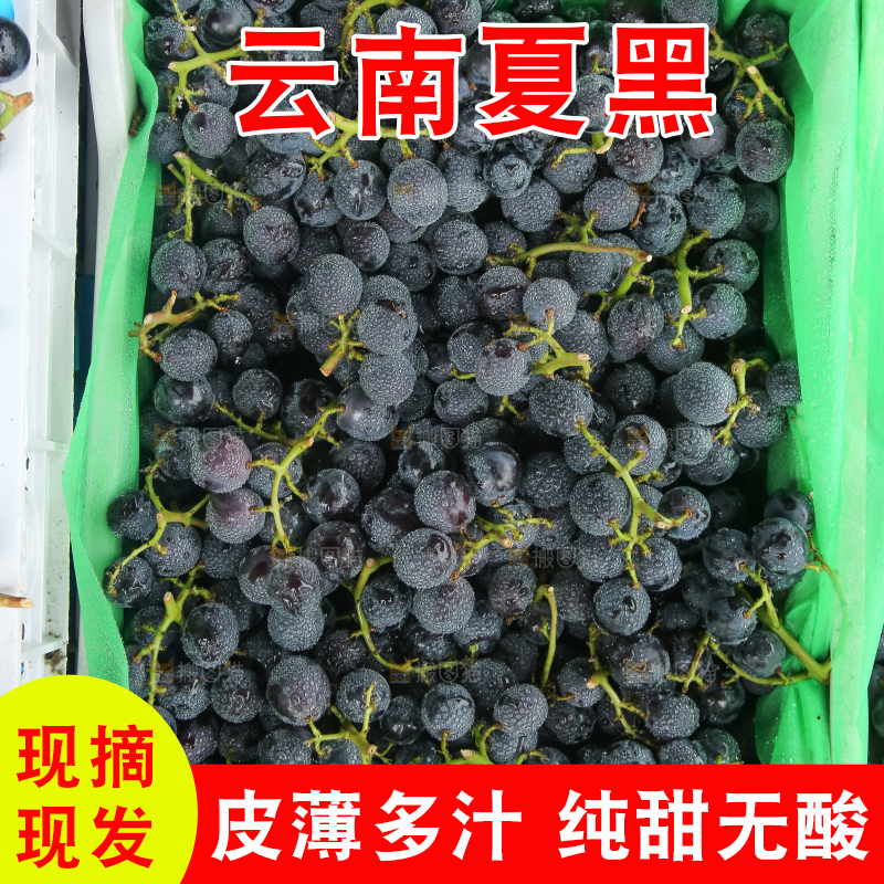 箱子里的夏黑葡萄