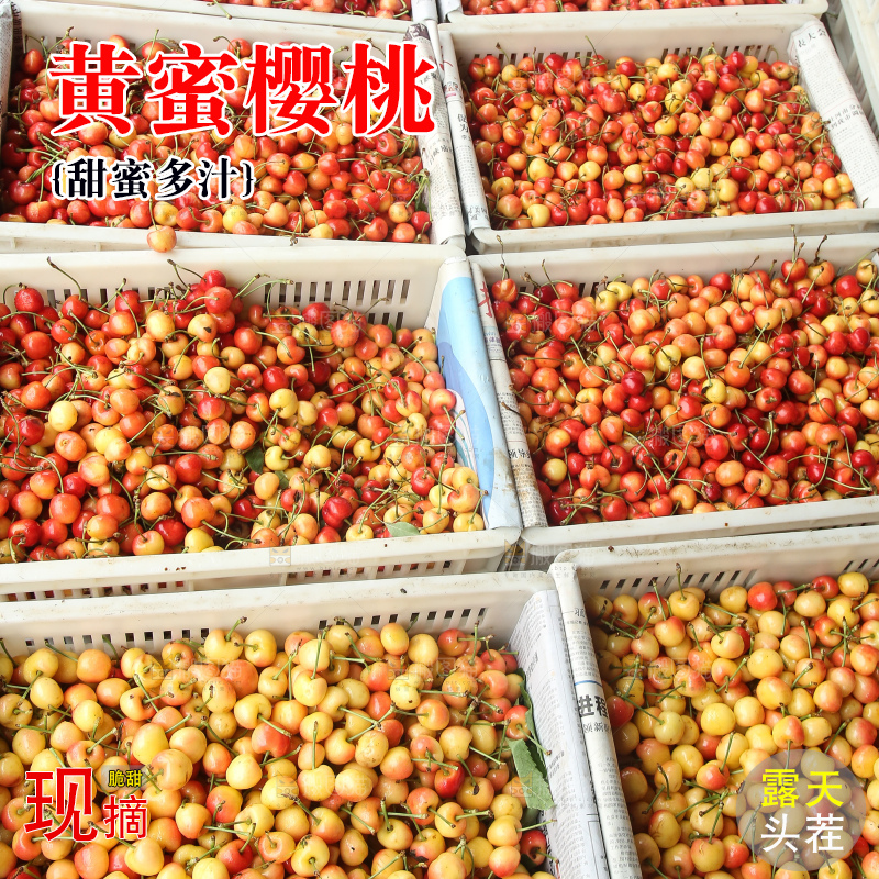箱子里装着黄蜜樱桃