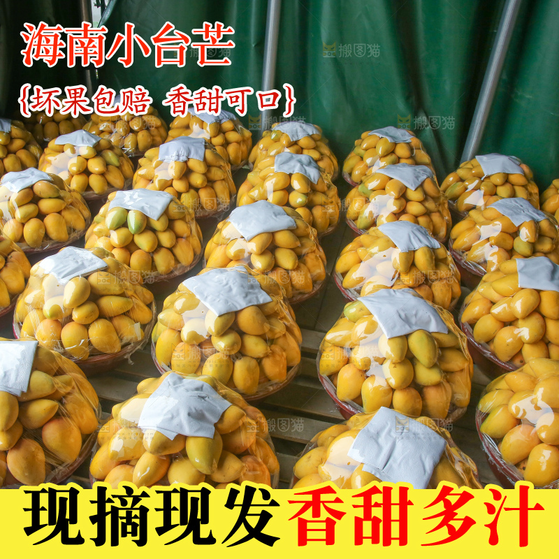 摆放整齐的小台芒