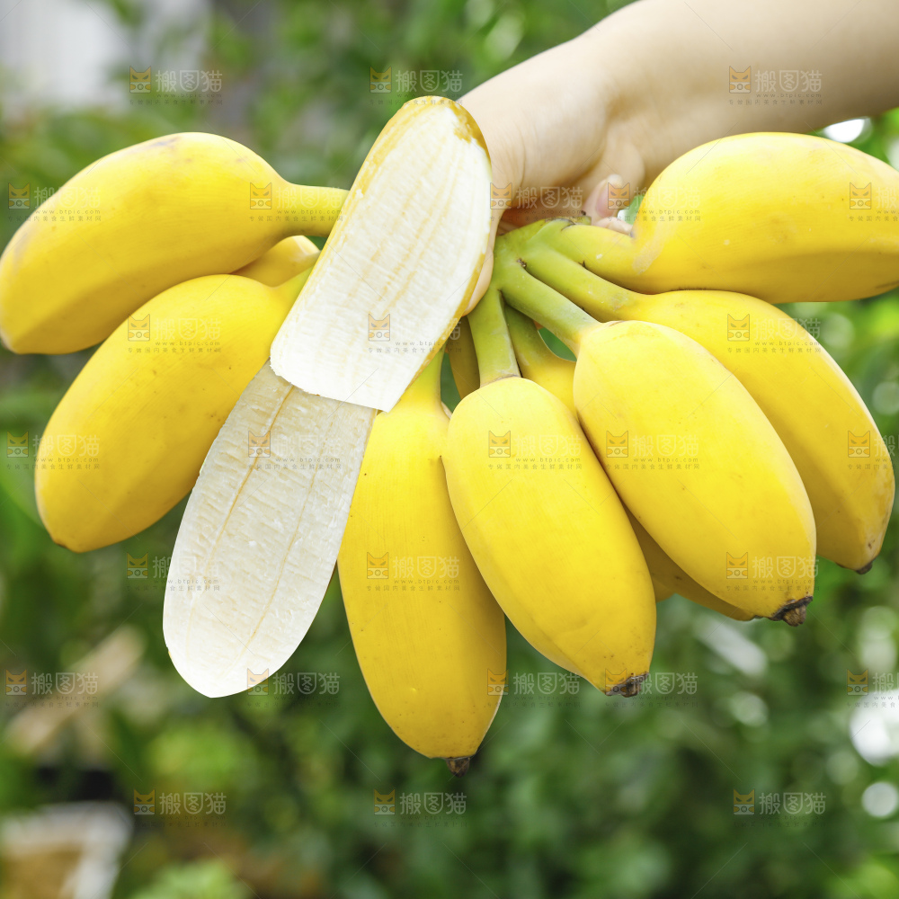 手里拿着苹果蕉