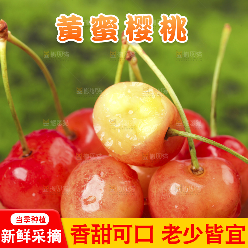 草地上放着黄蜜樱桃