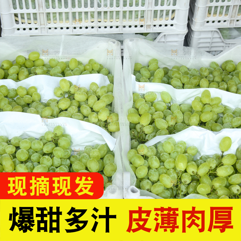 箱子里装着青提