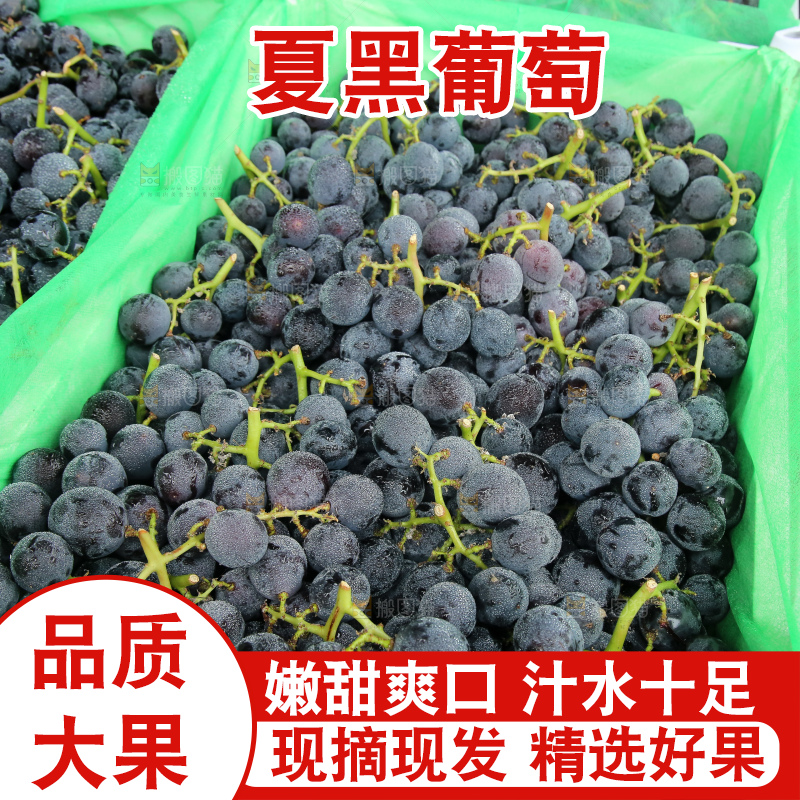 箱子里的夏黑葡萄