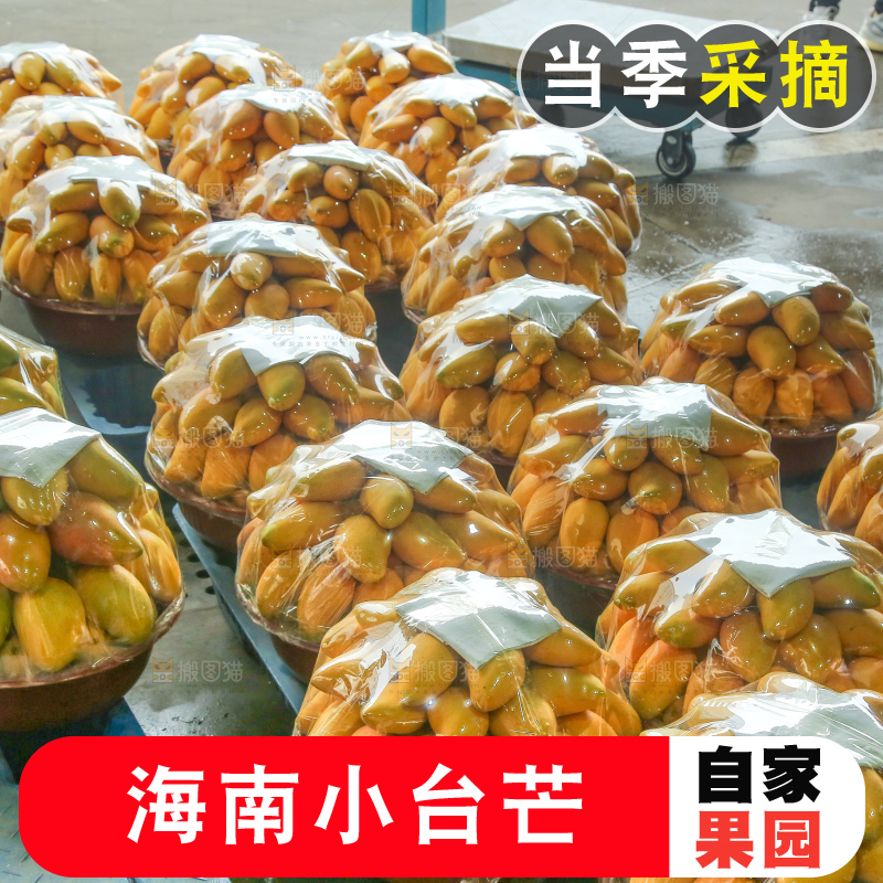 摆放整齐的小台芒