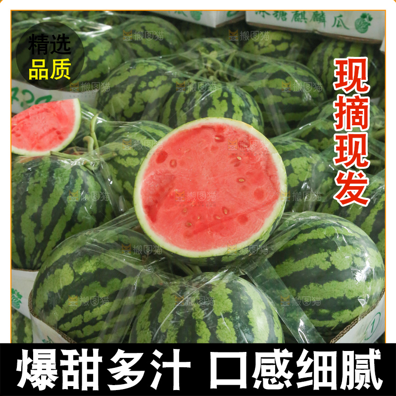 堆放着的冰糖麒麟瓜