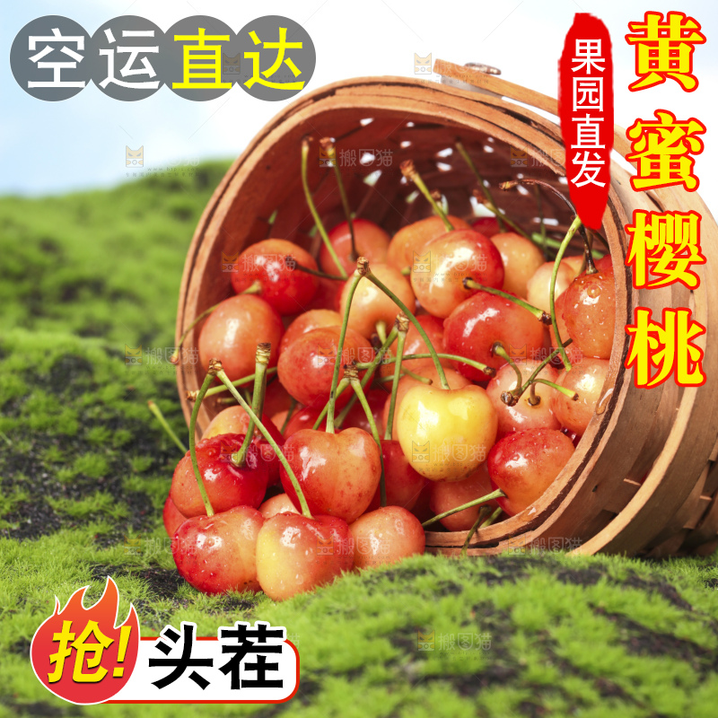 草地上放着黄蜜樱桃