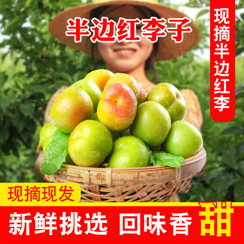 半边红李子主图