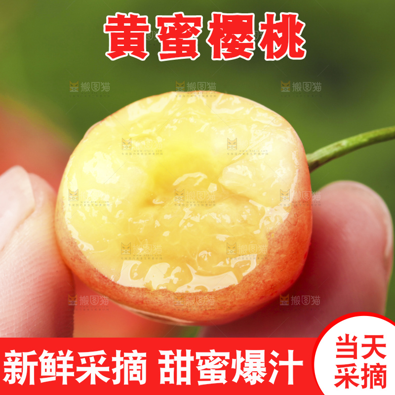 草地上放着黄蜜樱桃