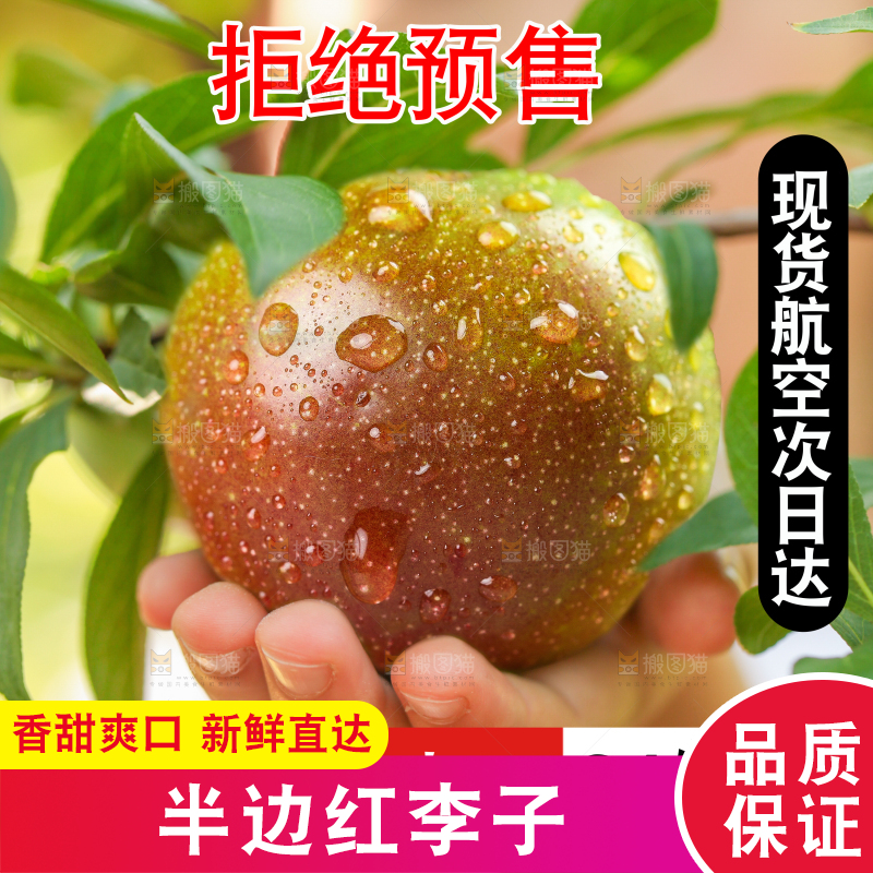 半边红李子主图