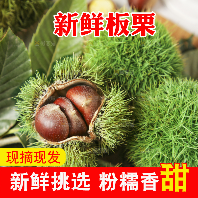 深底上的板栗