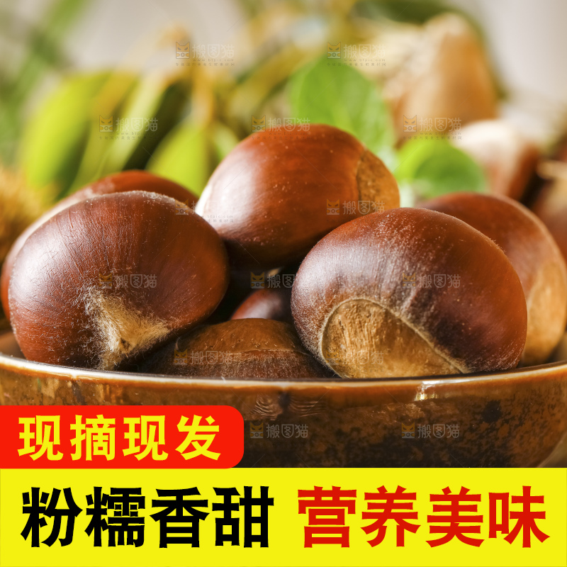 深底上的板栗