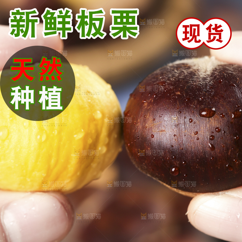 浅底上的新鲜板栗