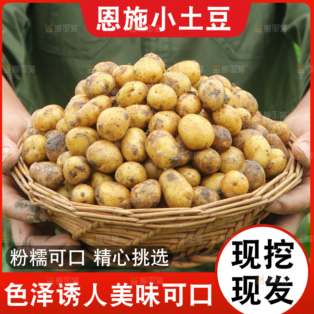 新鲜小土豆主图