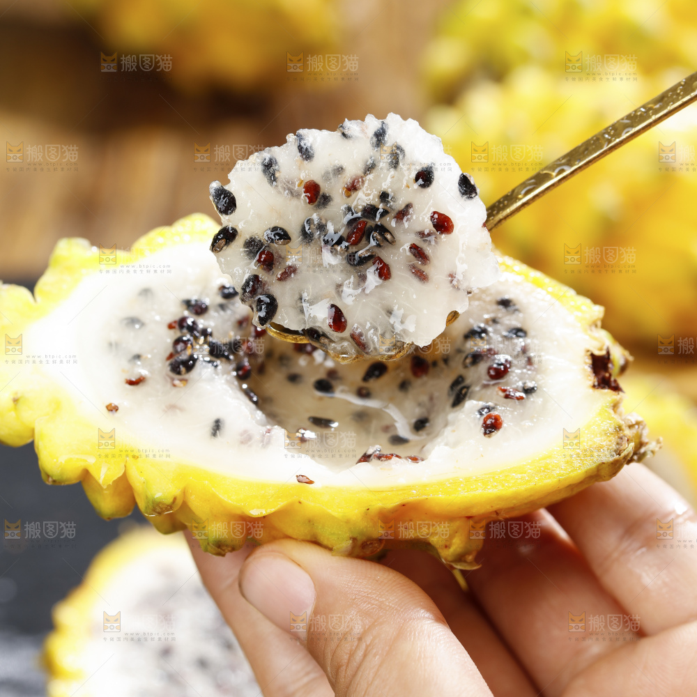 浅底上的麒麟果